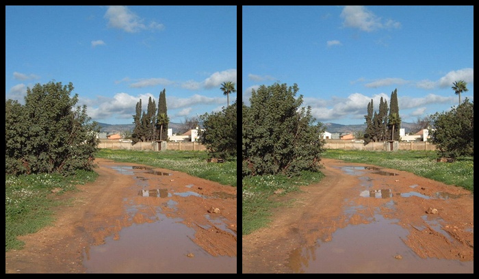 P_005.jpg