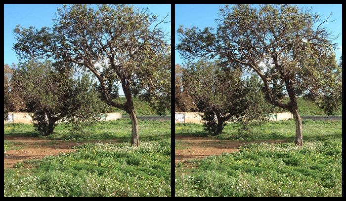 P_006.jpg