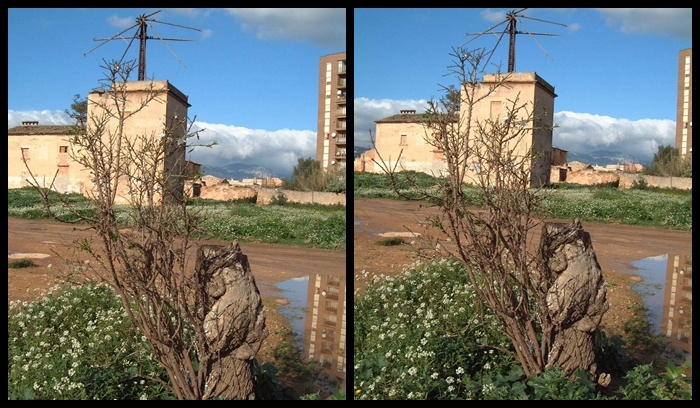 P_009.jpg